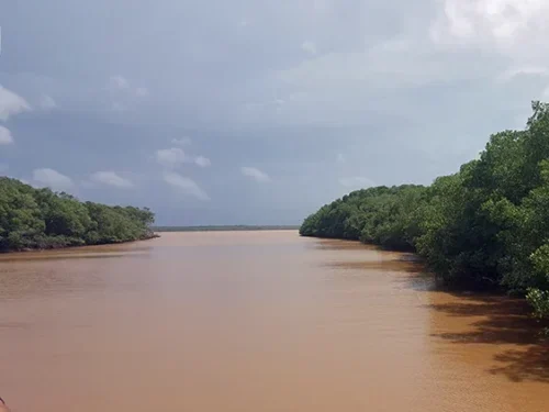 Canal fluvial (igarapé) do Delta do Parnaíba com águas de cor terrosa, ladeado por densas paredes de vegetação de manguezal verde sob céu parcialmente nublado.
